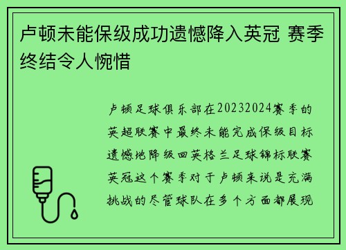 卢顿未能保级成功遗憾降入英冠 赛季终结令人惋惜